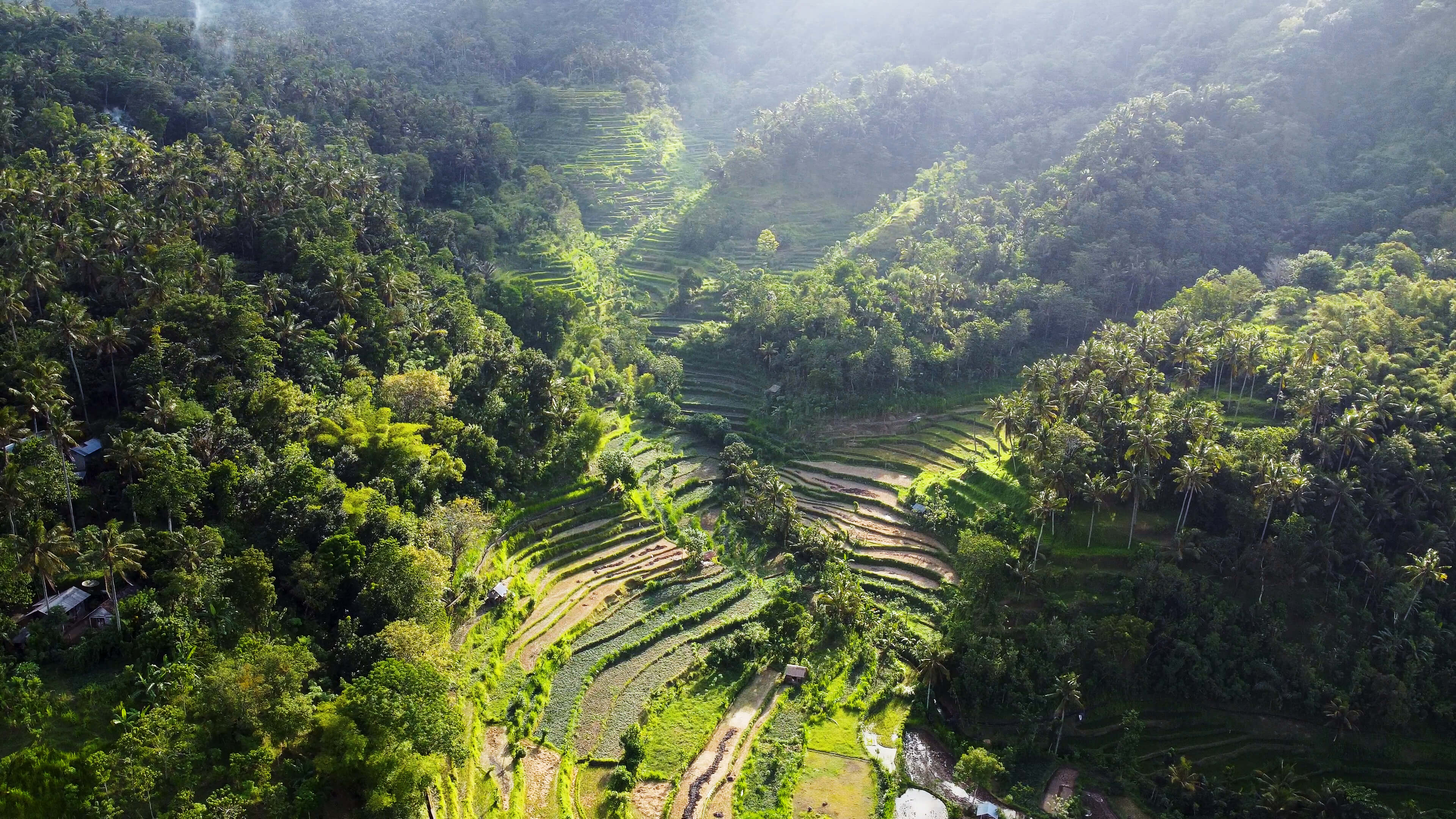 Berina Rice field drone view 1. Amazing green rice terraces.